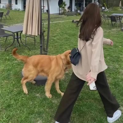 生死卧底